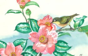 会員限定展示